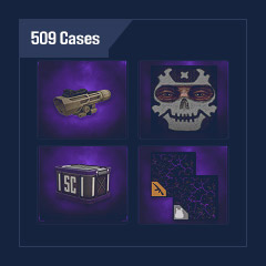 NY+AS+DAY X+BS+BR: 509 Cases + Deagle + Scar-l + Sight + Camouflage + Ammo + Items