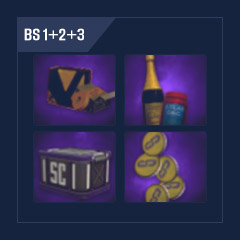 BS 1+2+3 Days + Streamer Battle: 30 Containers + 3K Coins + Camouflages + Premium
