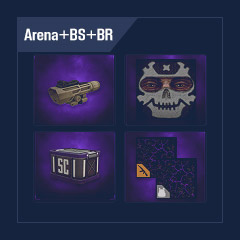 Arena+Day X + BS + BR: 195 CASE + SCAR-L + Sight + Laser + Camouflages + Items