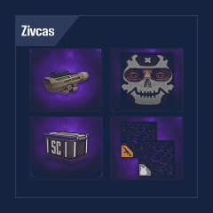 Zivcas: 60 Containers + Sight + Grip + Laser + Camouflages