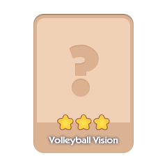 Volleyball Vision