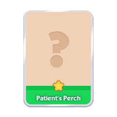 Patient`s Perch