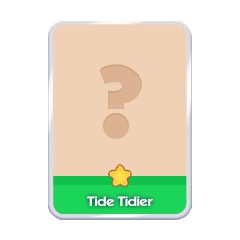 Tide Tidier