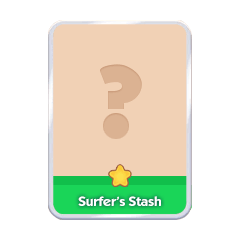 Surfer`s Stash