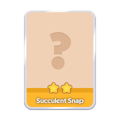 Succulent Snap