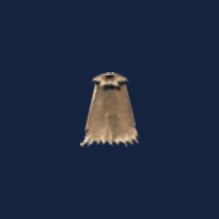 Lox cape