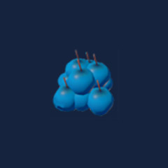 Blueberries