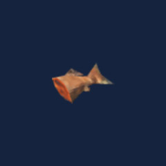 Cooked fish