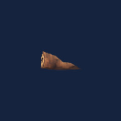 Grilled neck tail