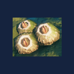 Abyssal barnacle