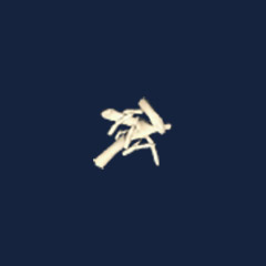 Bone fragments