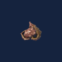 Entrails