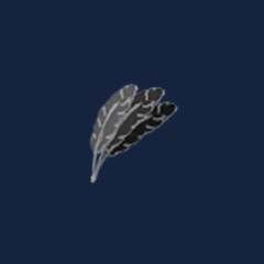 Feathers