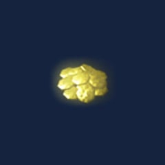 Coins