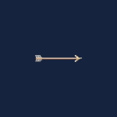 Bronzehead arrow
