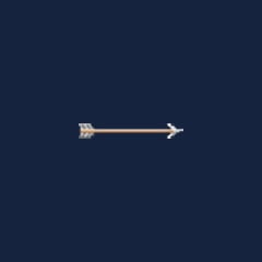 Ironhead arrow
