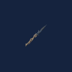 Ancient bark spear