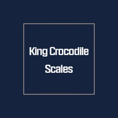 King Crocodile Scales