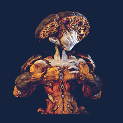 Nokko Warframe