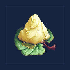 Animal Fat