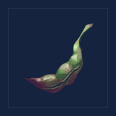 Beans