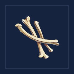 Bones