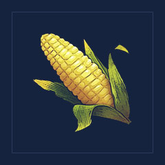 Corn