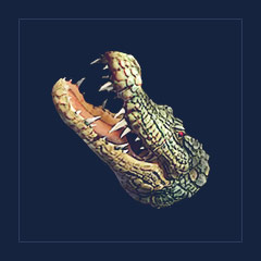 Crocodile Head