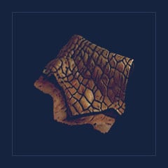 Crocodile Hide Piece