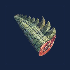 Crocodile Tail