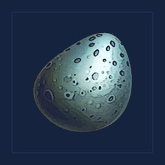 Dodo Egg