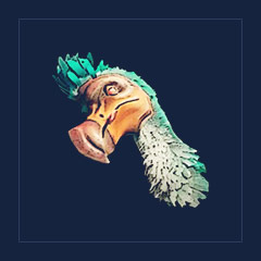 Dodo Head