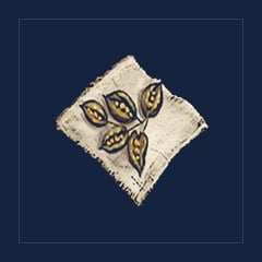 Ficus Seeds
