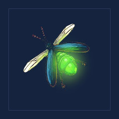 Firefly