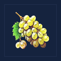 Grape