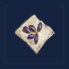 Healing Herb Seeds