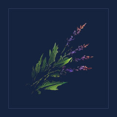 Healing Herbs