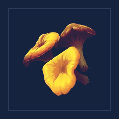 Lobster Mushroom