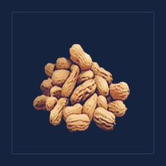 Nuts