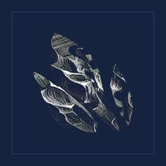 Obsidian