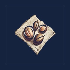 Palm Seeds