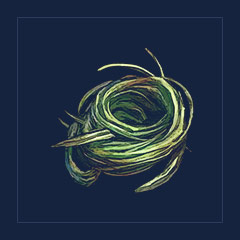 Plant Fiber