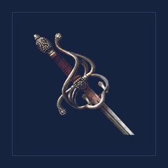 Sturdy Rapier
