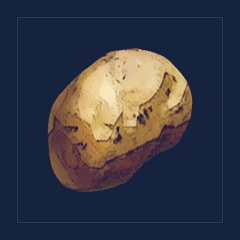 Sweet Potato