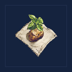 Sweet Potato Seeds
