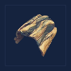 Tree Bark