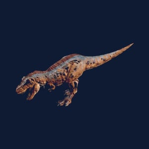 Rex