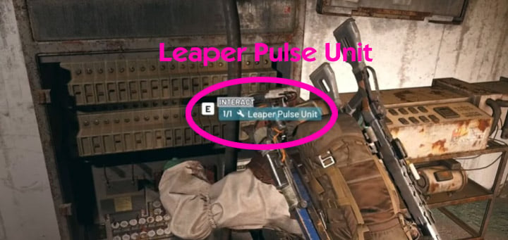 Leaper Pulse Unit