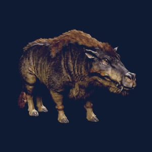Daeodon