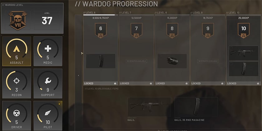 Medic Level Progression Assault Level Progression